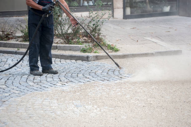 Best Dumpster Area Cleaning  in Desoto, TX